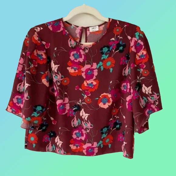 Aritzia Floral Blouse - Burgundy and Pink - Picture 1 of 8
